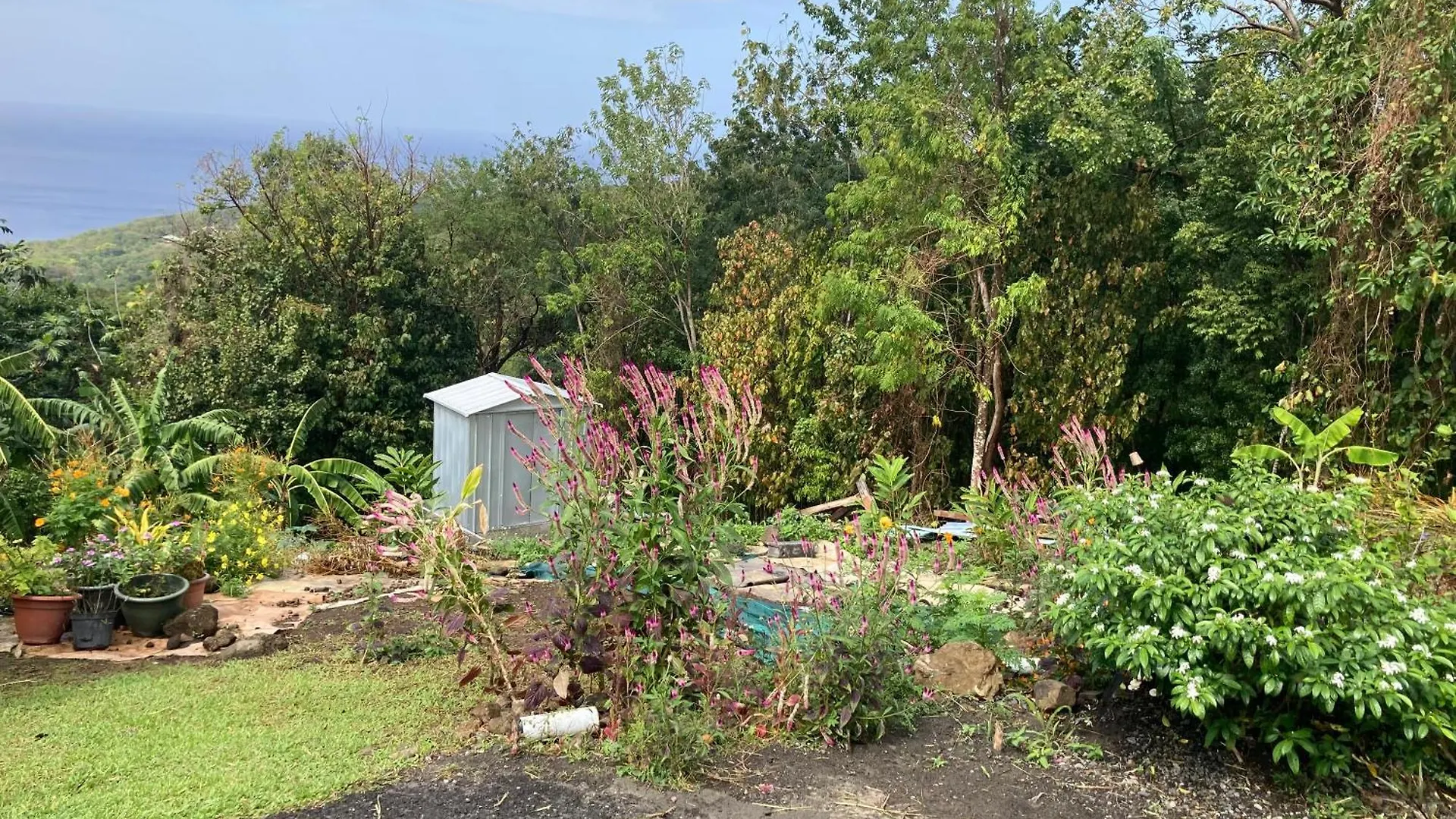 La Belle Ada Villa Deshaies Guadeloupe